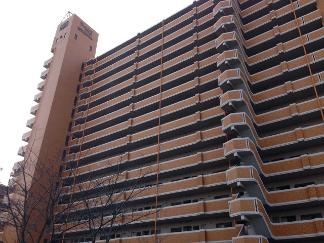 ファミリー写真
