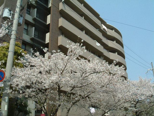河内花園駅の駅近！！高級特優賃マンション！！待望の空き登場！！新婚様オススメ♪♪写真